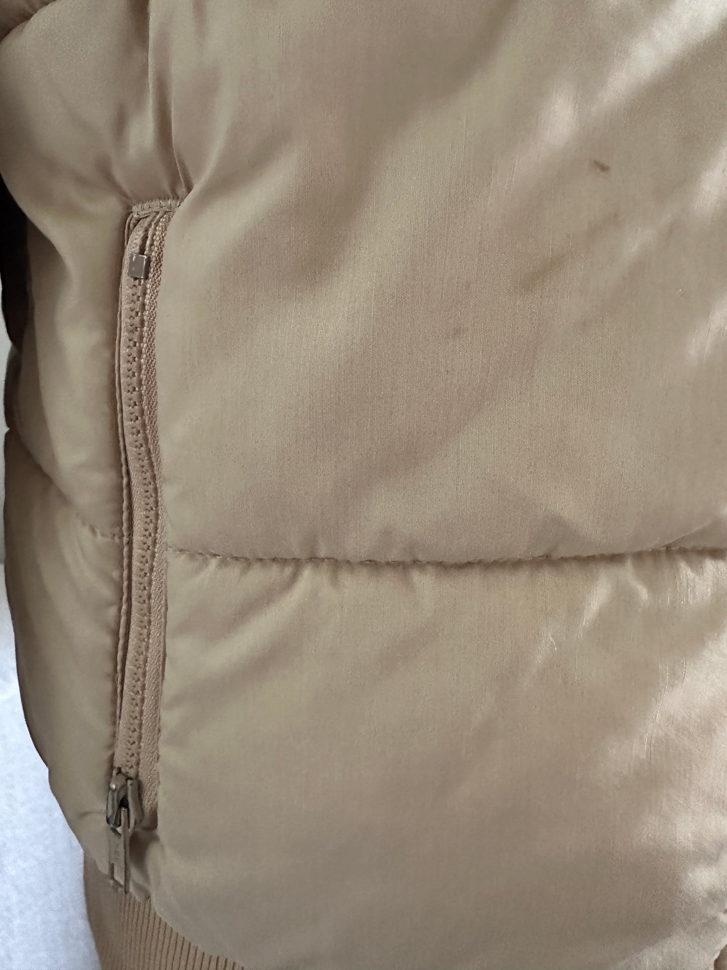 Black Bear Beige and Blue Zip Up Puffy Jacket