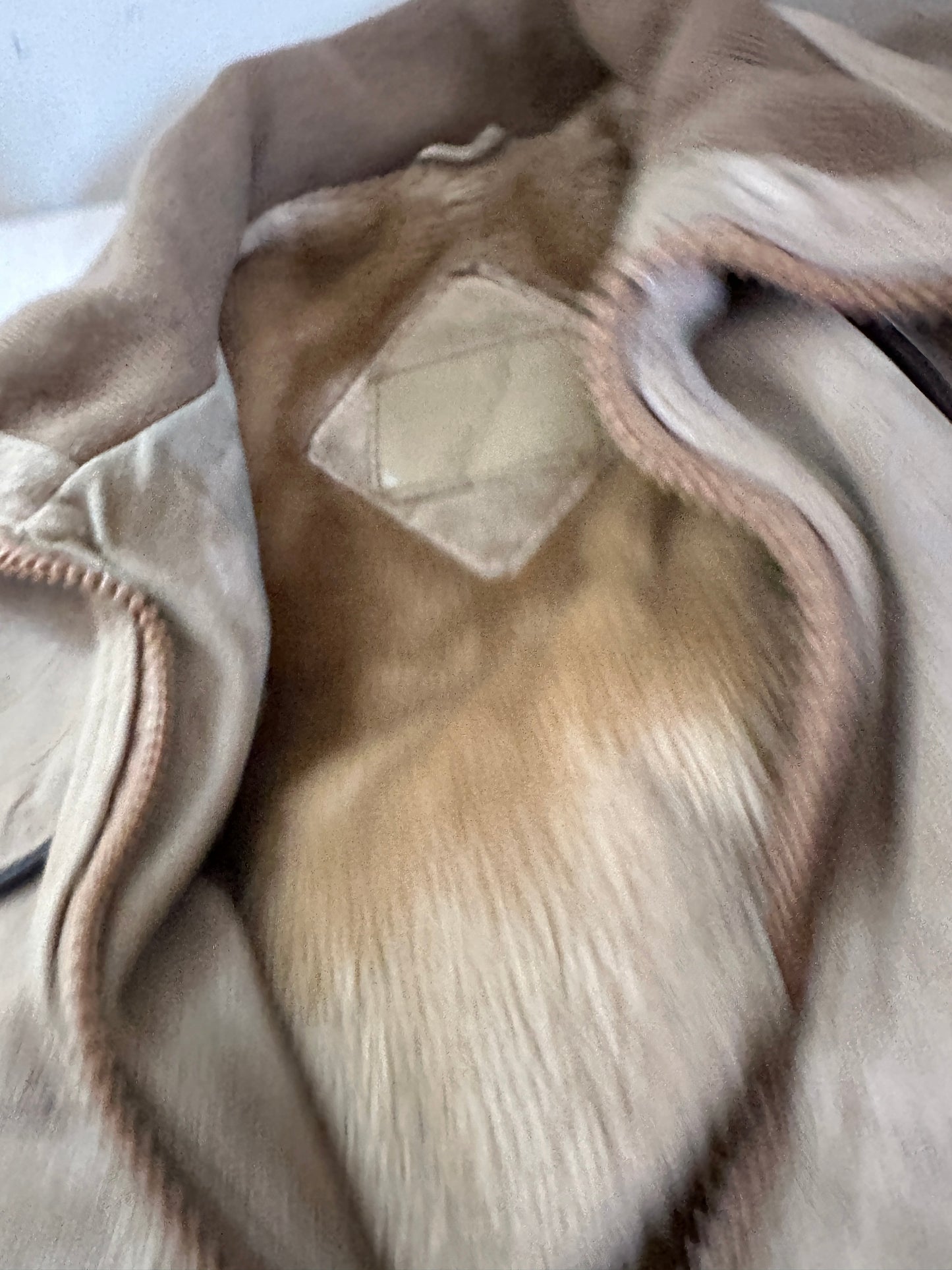 Suede Taupe Leather Zip Up with Knit Collar and Leather Trim